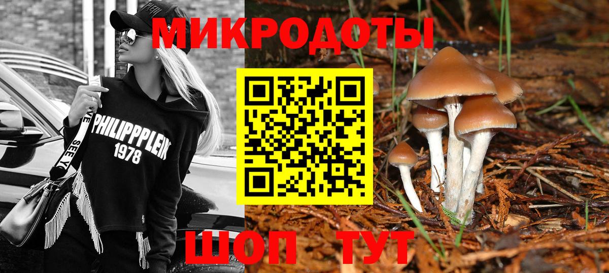 Дзержинский  Галлюциногенные грибы Psilocybine cubensis  Вход с VPN 